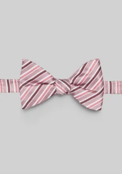 Jos. A. Bank Stripe Pre-Tied Big Bow Tie