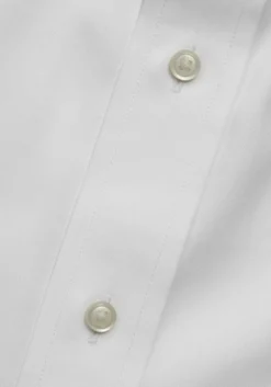 Traveler® Collection Traditional Fit Point Collar Dress Shirt - Big & Tall
