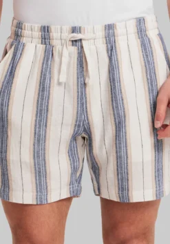Weatherproof Vintage Traditional Fit Vertical Stripe Shorts 6''